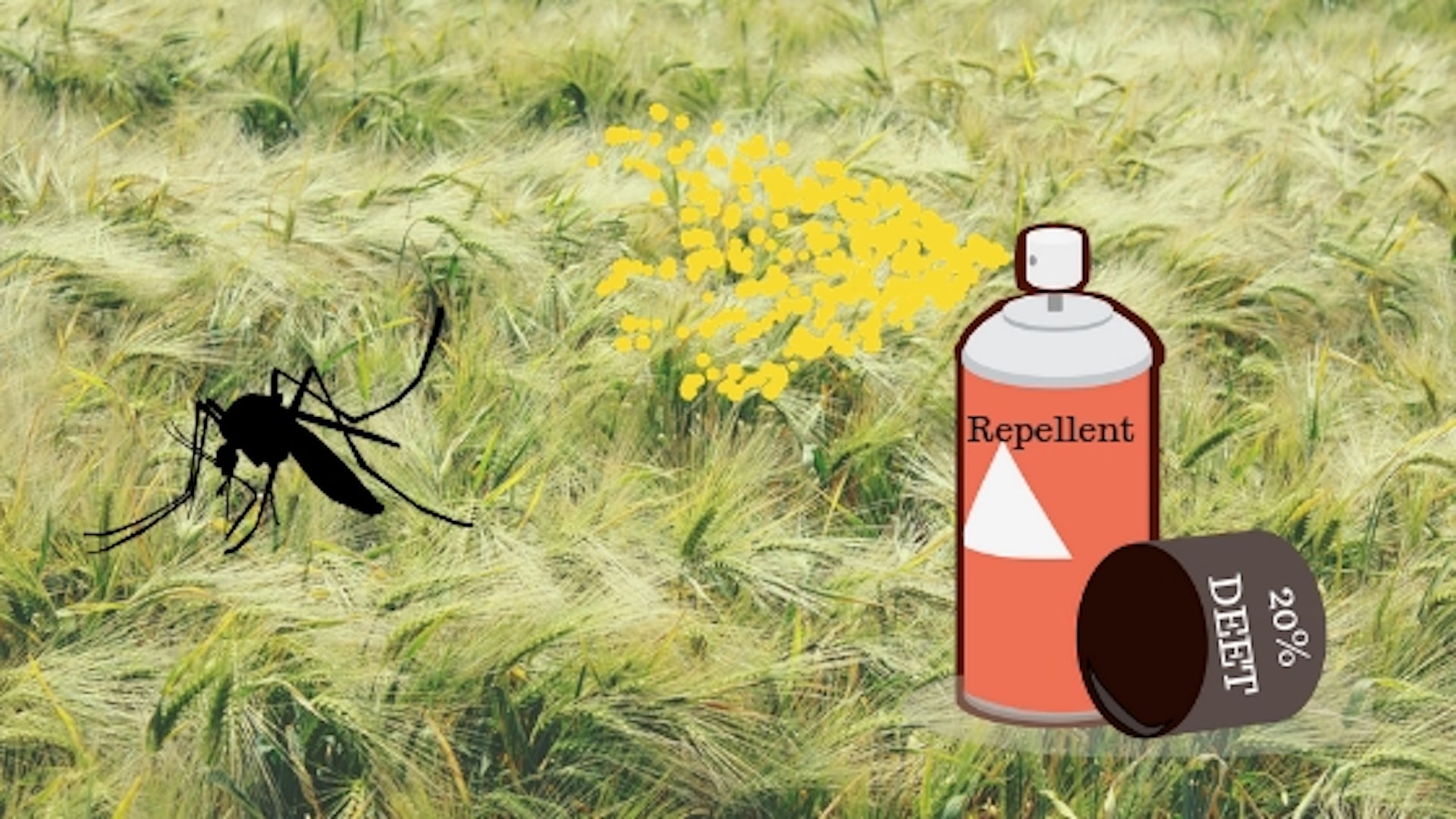 How To Mosquito Proof Your Property This Spring: Top 9 Q&As About Mosquitoes- use a repellent to keep the mosquitoes away