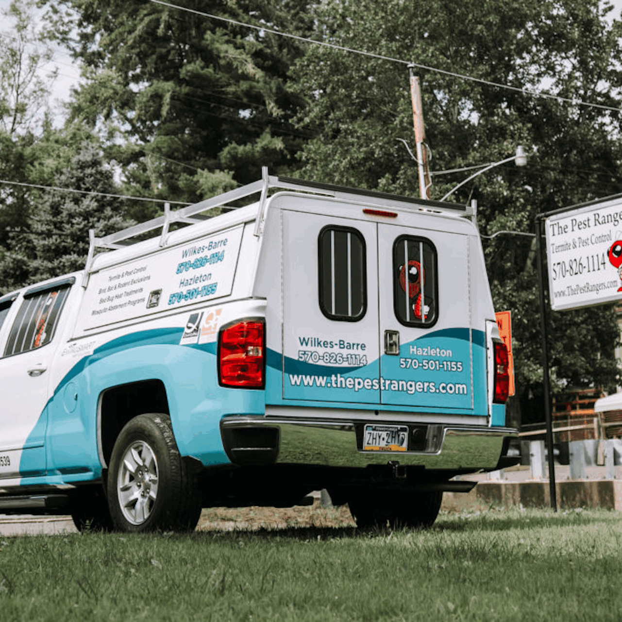 7 Popular Home Remedies for Bed Bugs- Do They Work?