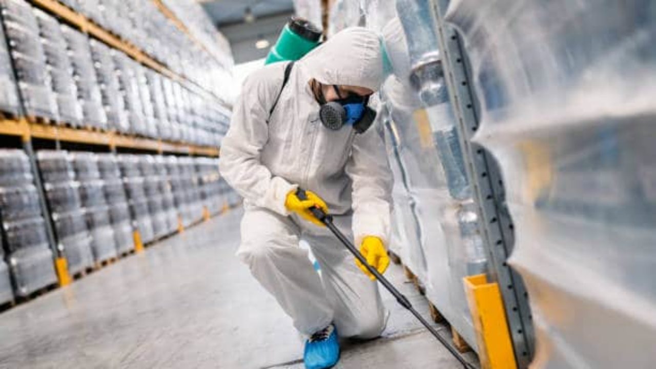 Top 15 Qualities to Seek in Commercial Pest Removal Services