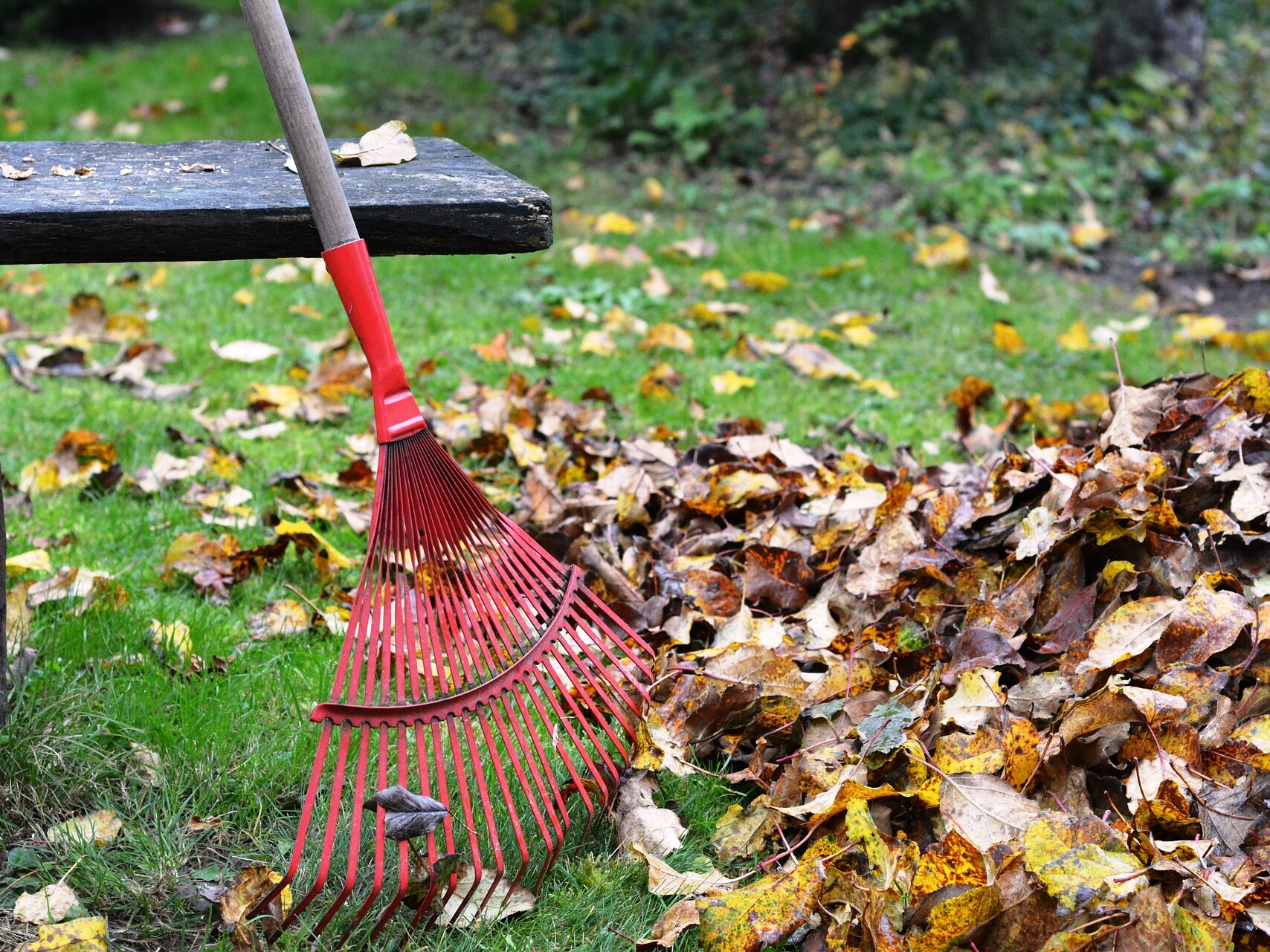 Yard Pest Control Starts with Spring Preparation (11 Tips)- spring cleaning