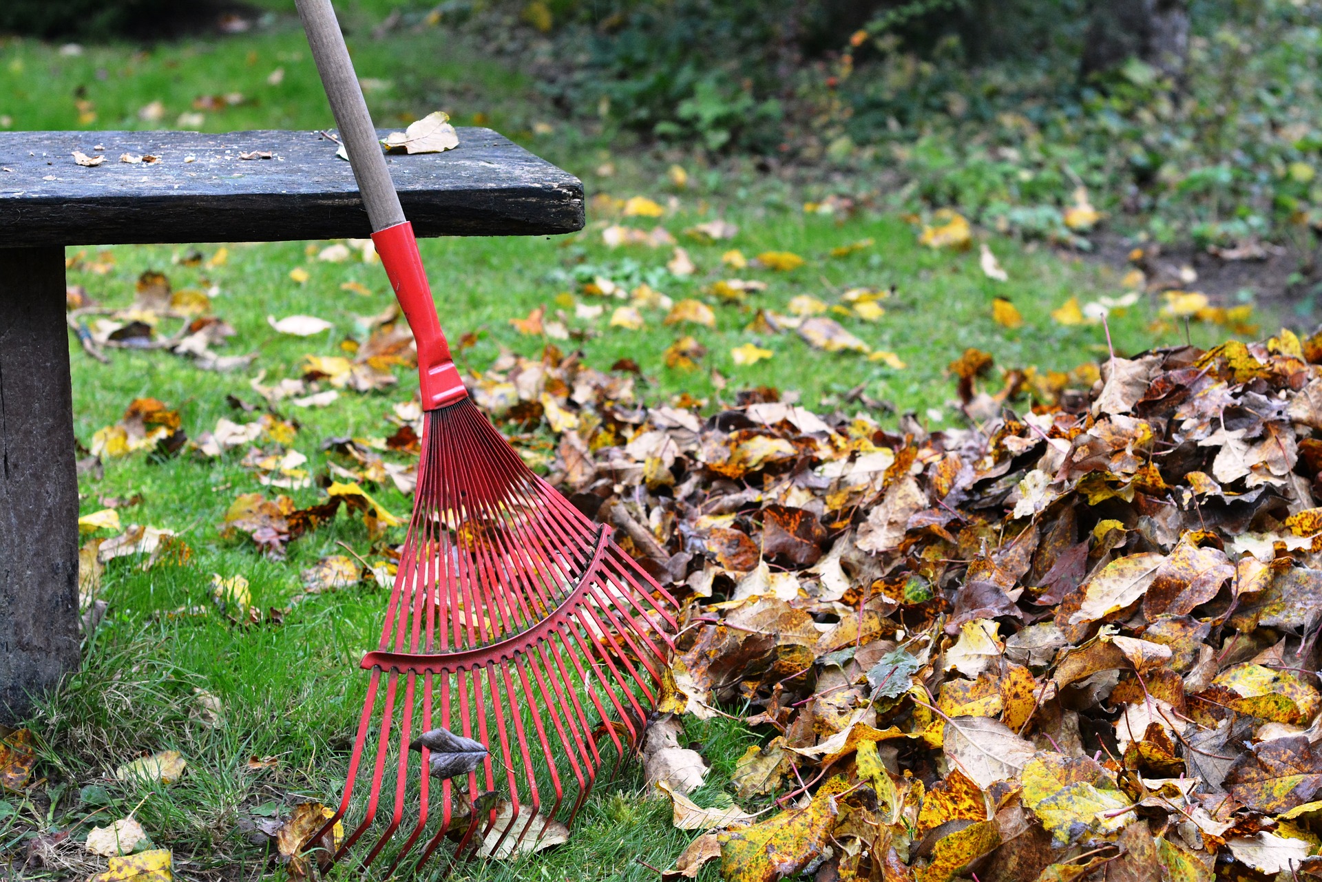 Yard Pest Control Starts with Spring Preparation (11 Tips)- spring cleaning