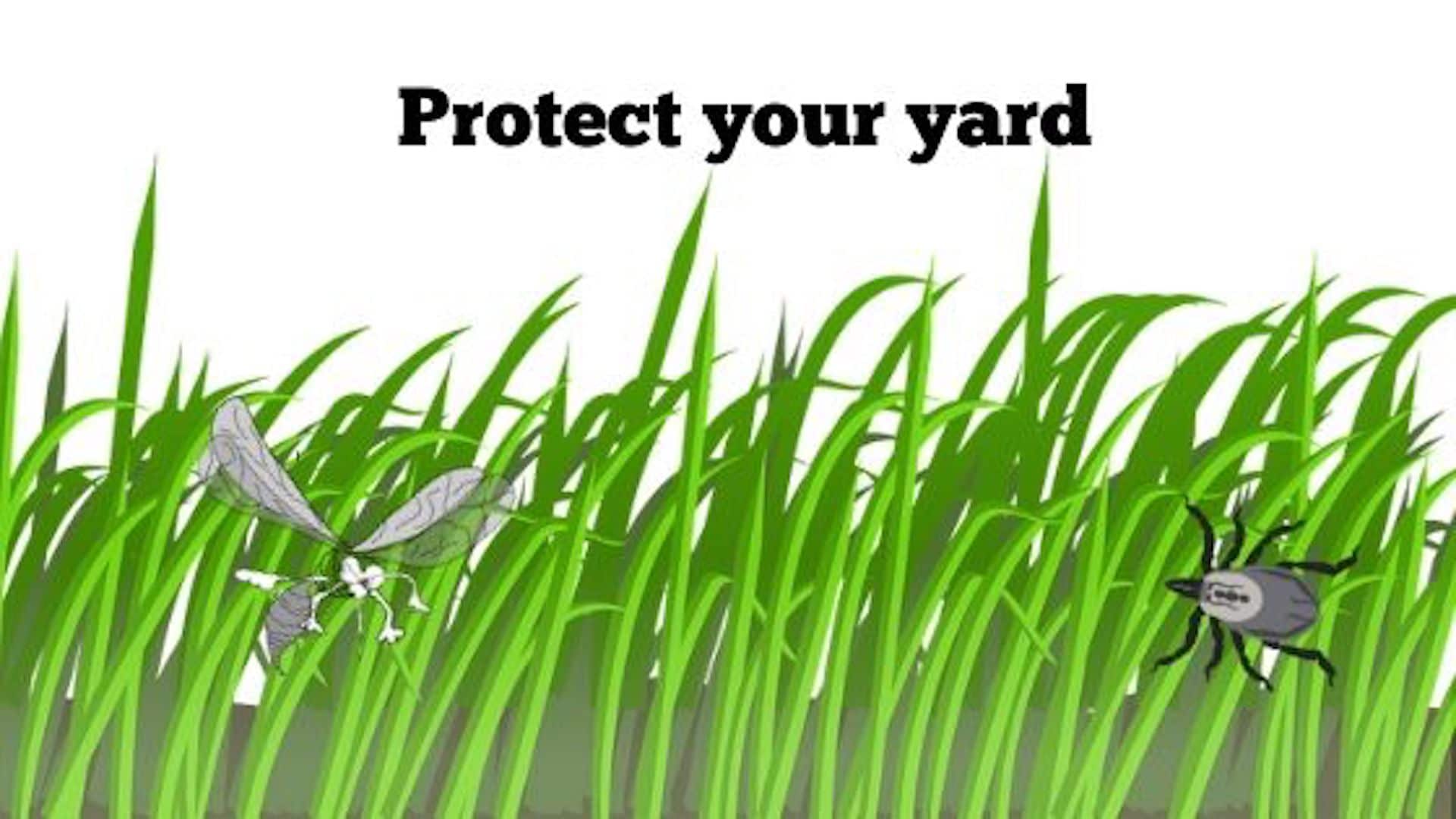 What Do I Need to Know about Tick and Mosquito Barrier Spray? Top 7 Things- know your enemy
