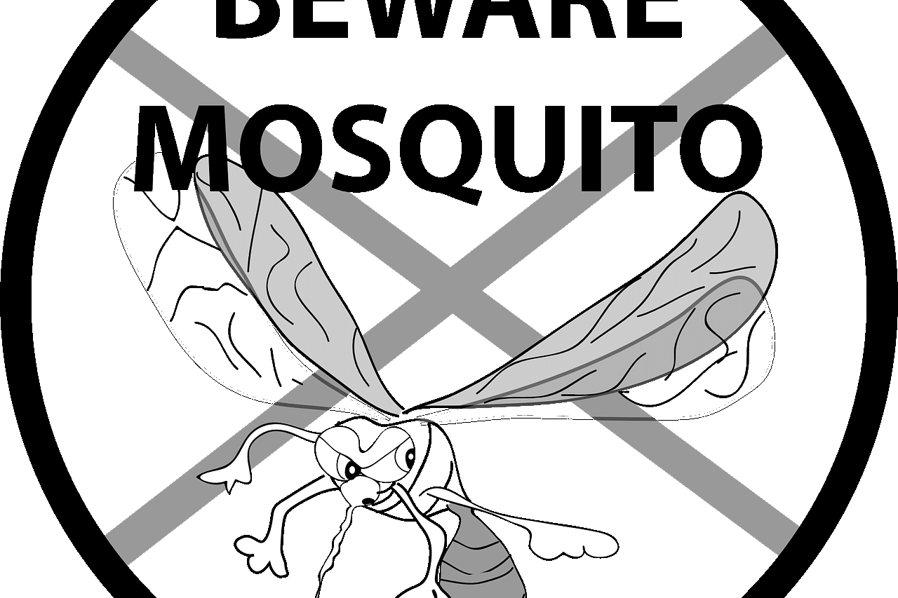 Thousands Now Live Mosquito Free. Here’s How in 7 Steps- mosquitos can carry disease