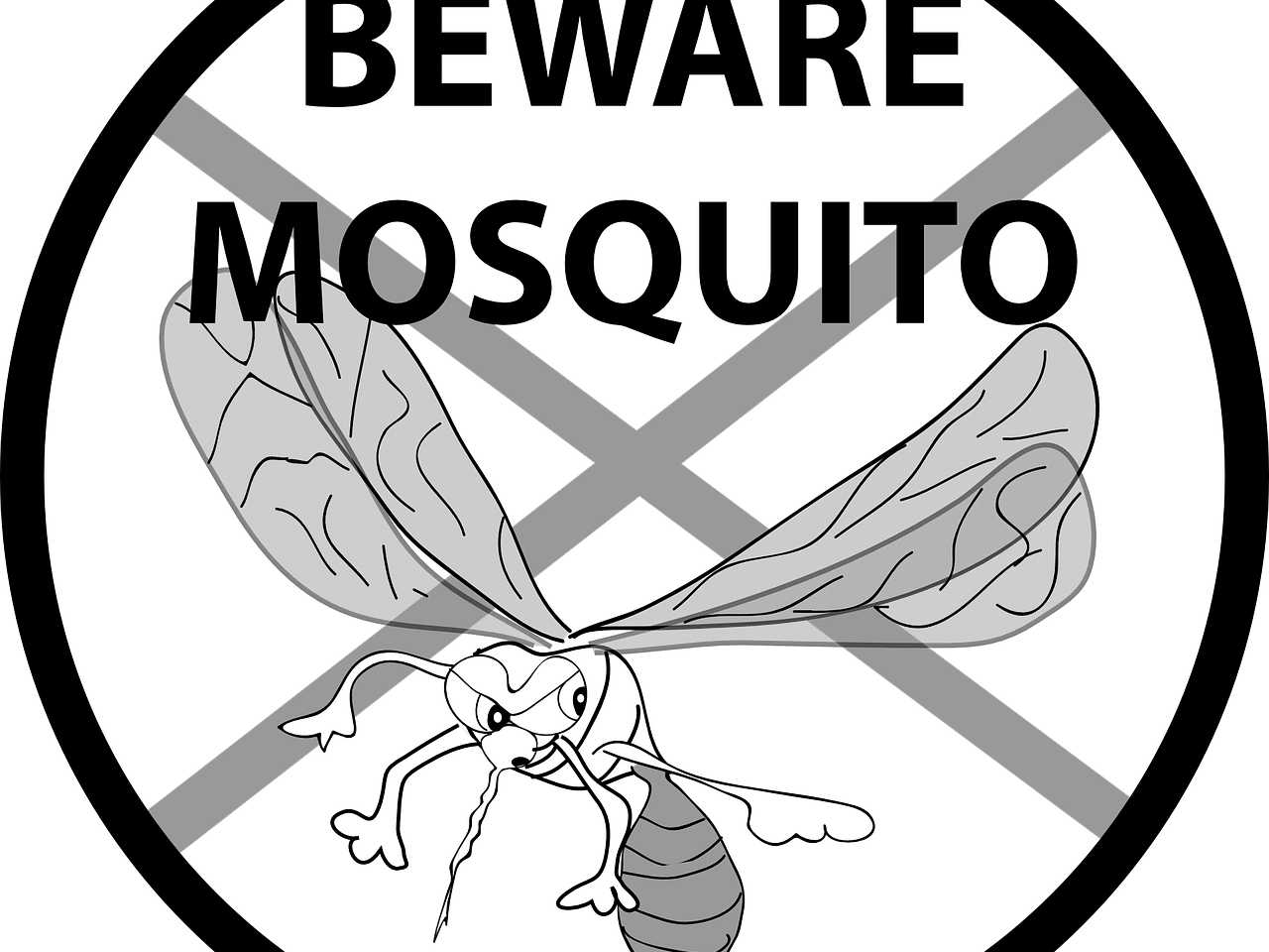 Thousands Now Live Mosquito Free. Here’s How in 7 Steps- mosquitos can carry disease