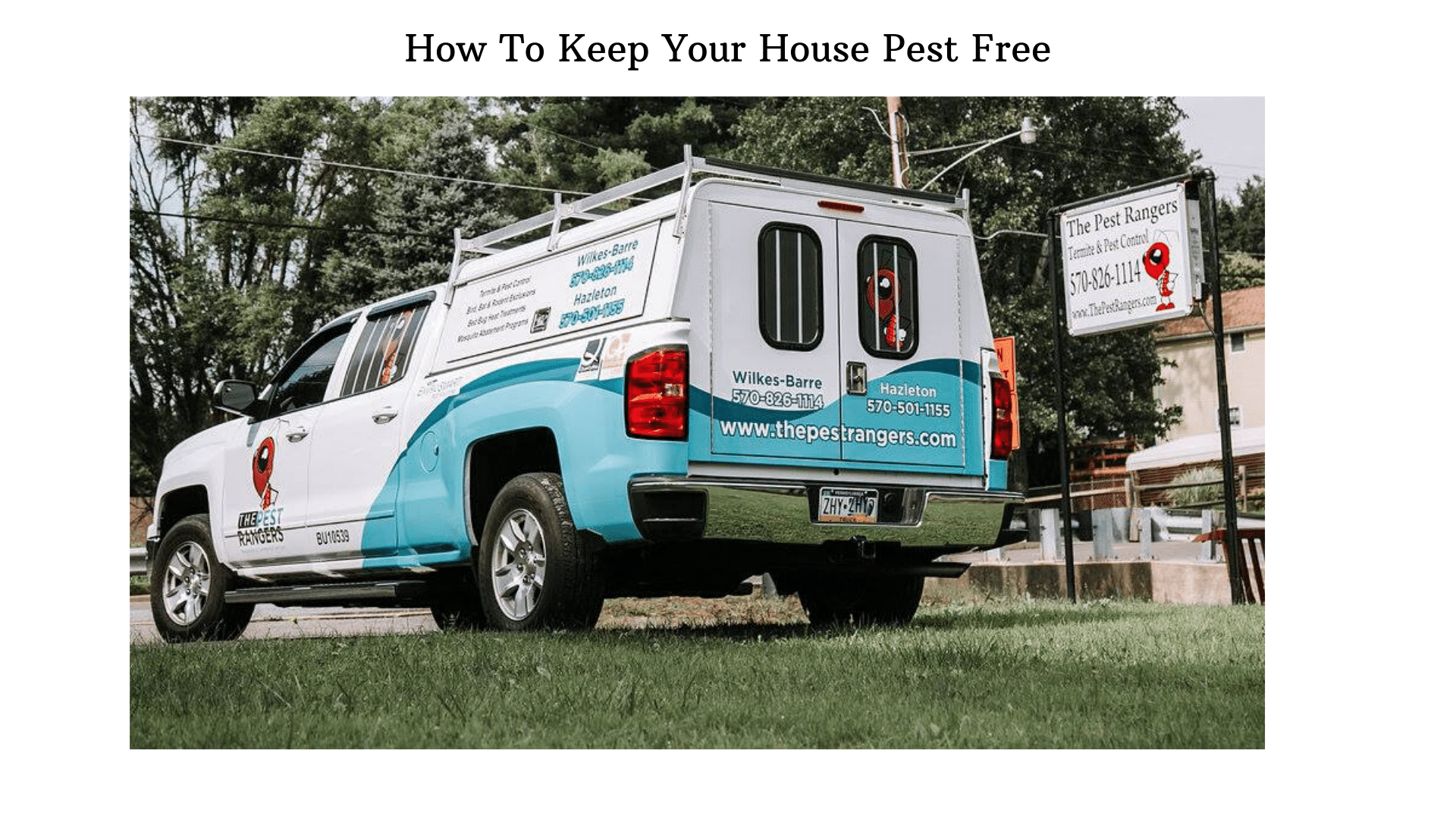 The Pest Rangers are your solution to keeping your home pest free.