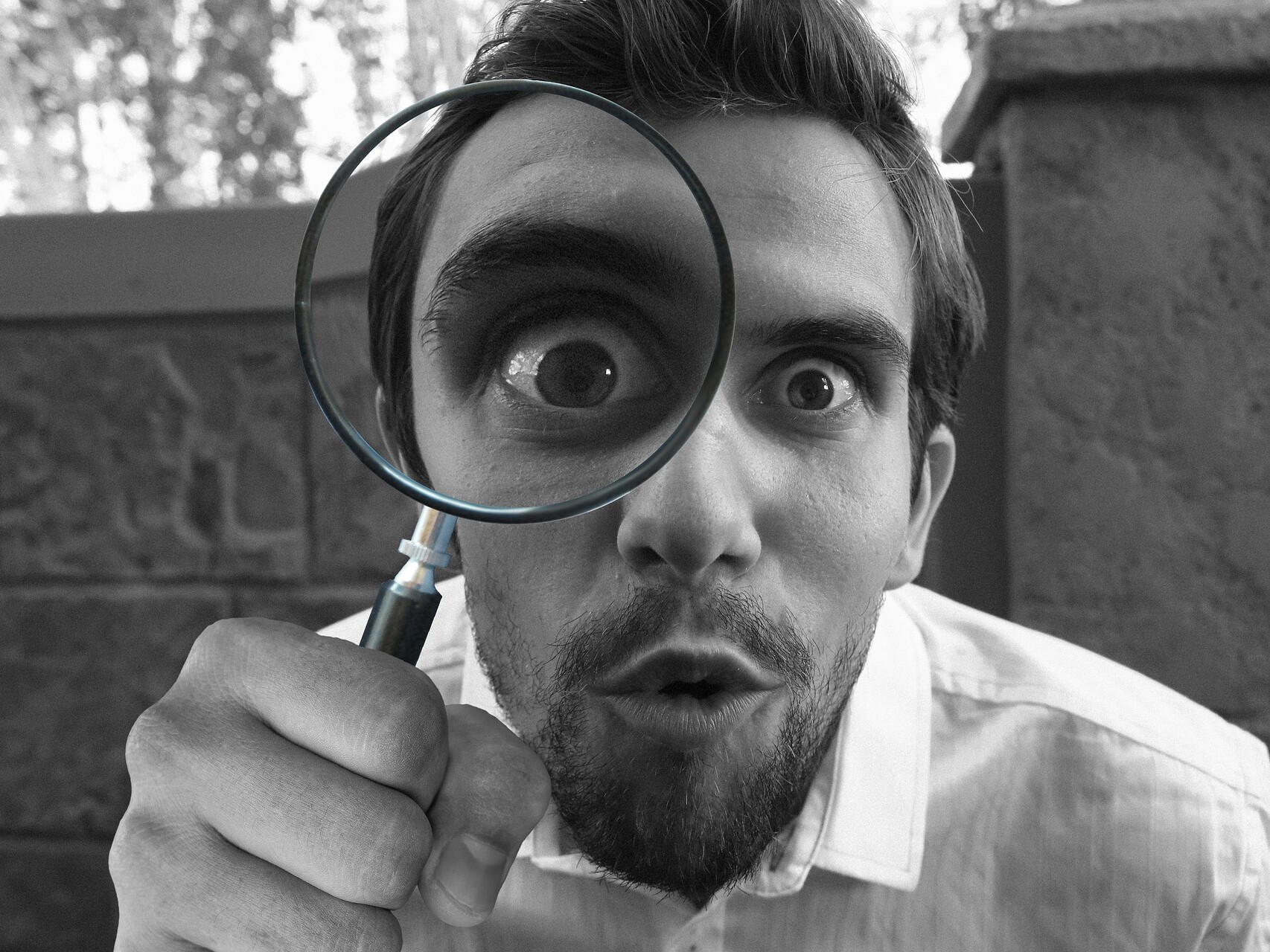 get regular inspections to keep your home pest free
