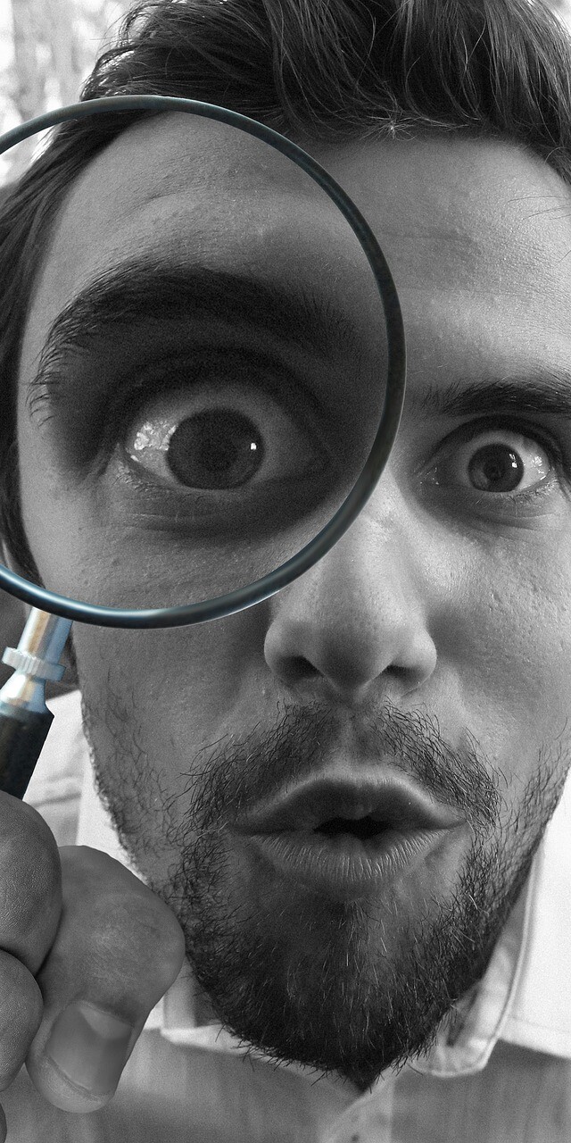 get regular inspections to keep your home pest free
