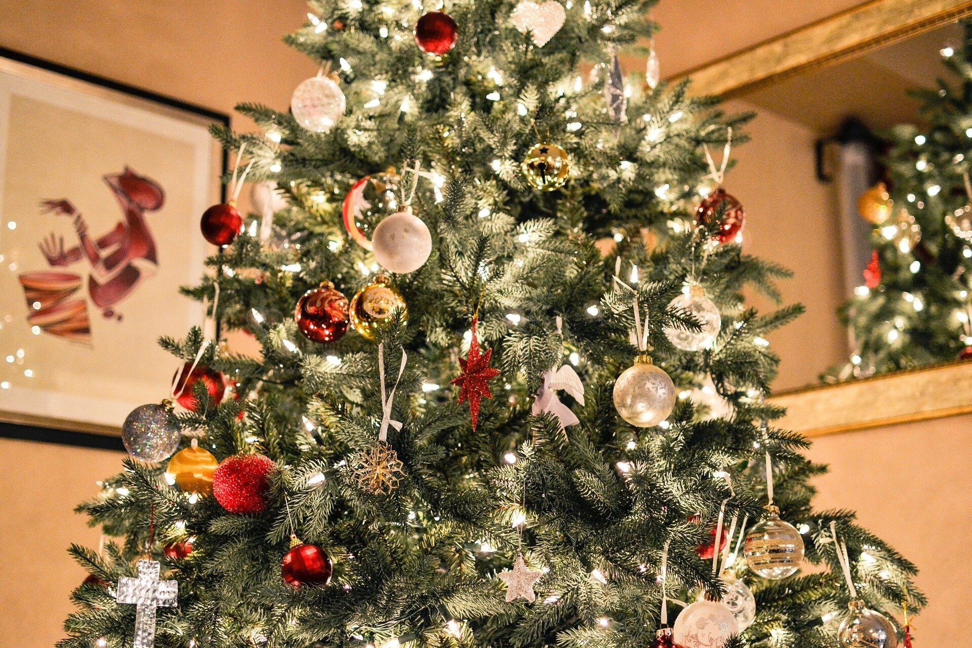 How To Keep Your PA Christmas Tree Free of Bugs, Spiders, and Rodents: Top 9 Tips