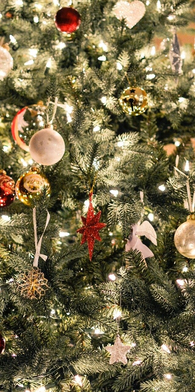 How To Keep Your PA Christmas Tree Free of Bugs, Spiders, and Rodents: Top 9 Tips