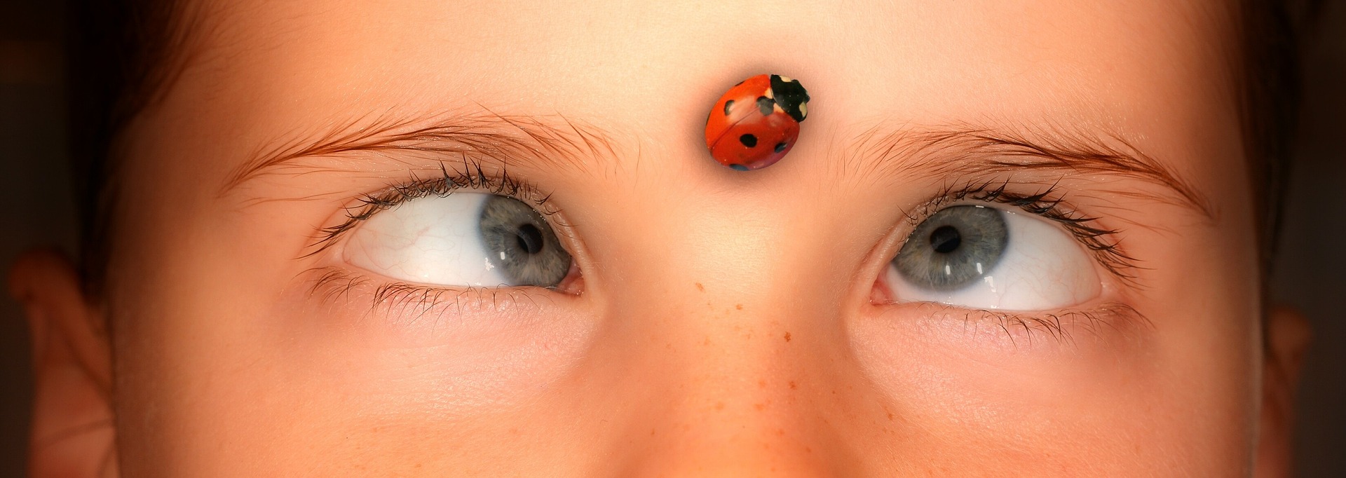 Are lady bugs the bugs of luck and love