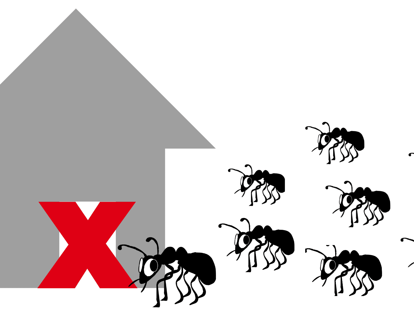 protect your home