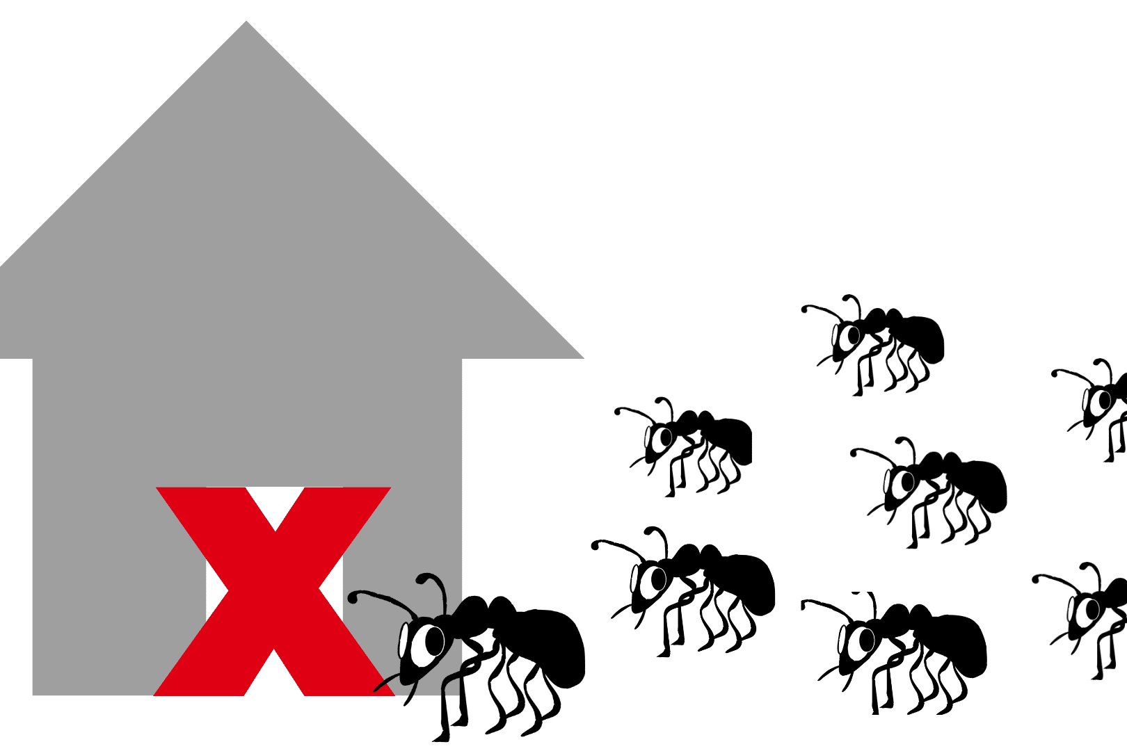 protect your home