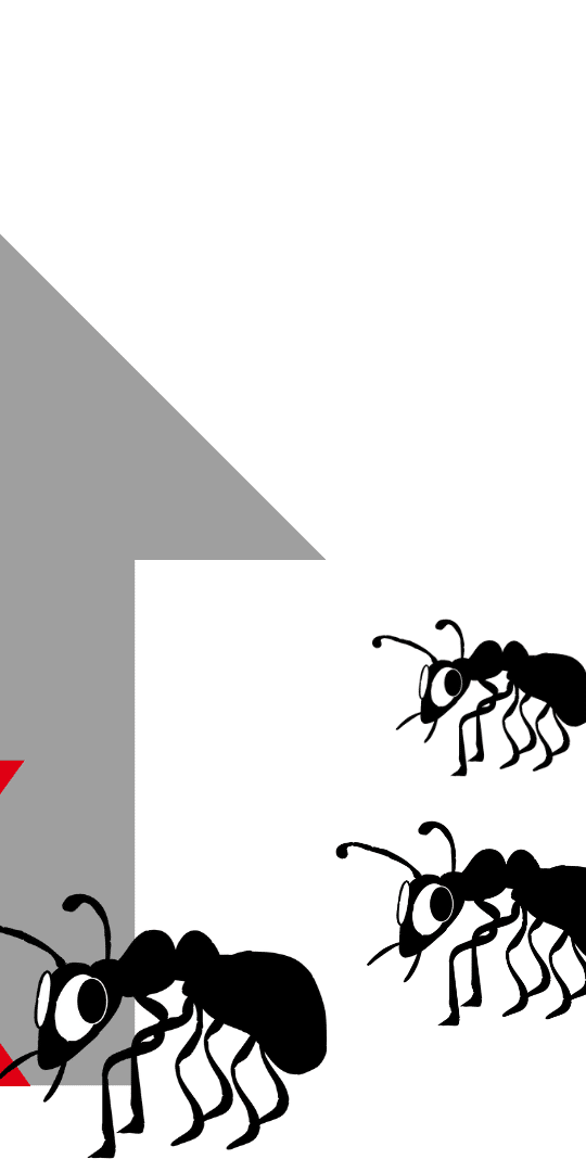 protect your home