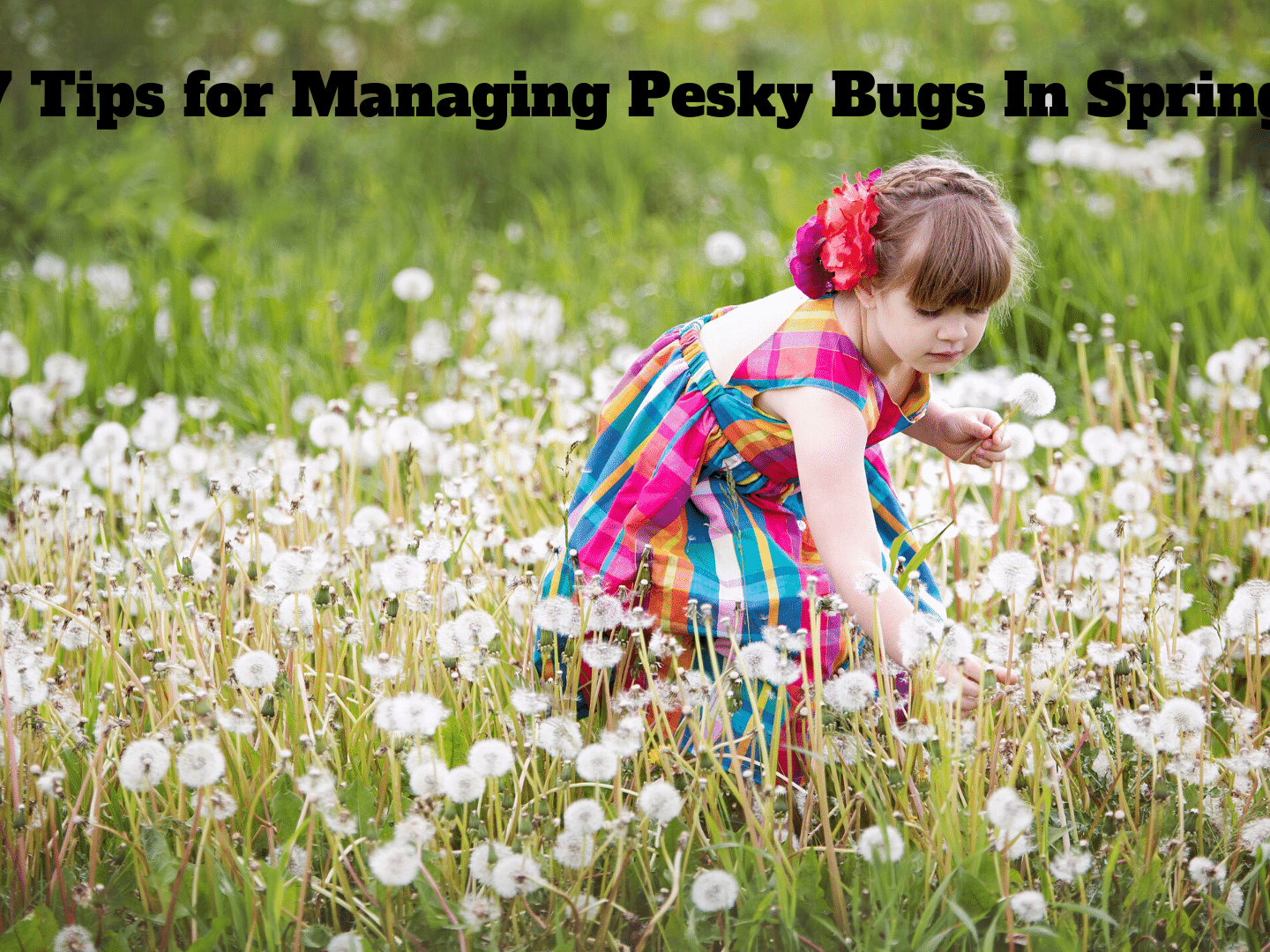 spring is upon us and so are the pesky bugs