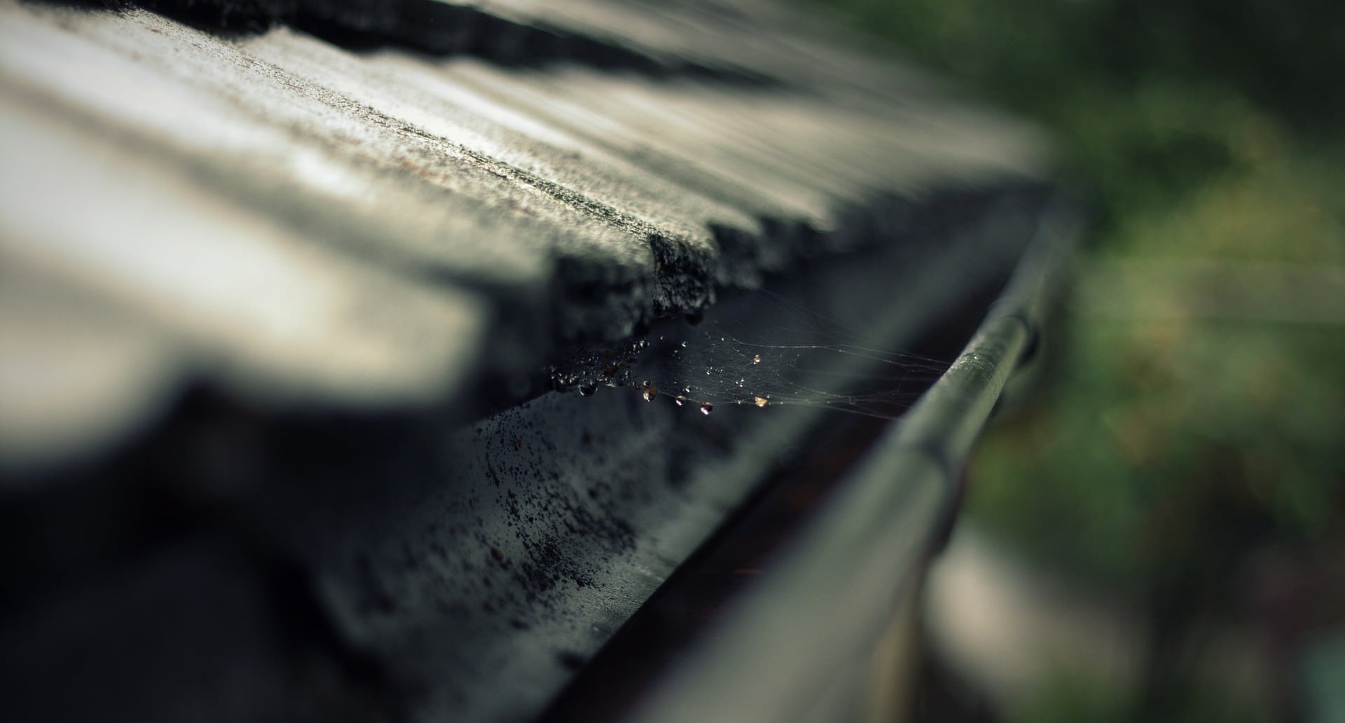 clean out your gutters to put an end to mosquito breeding