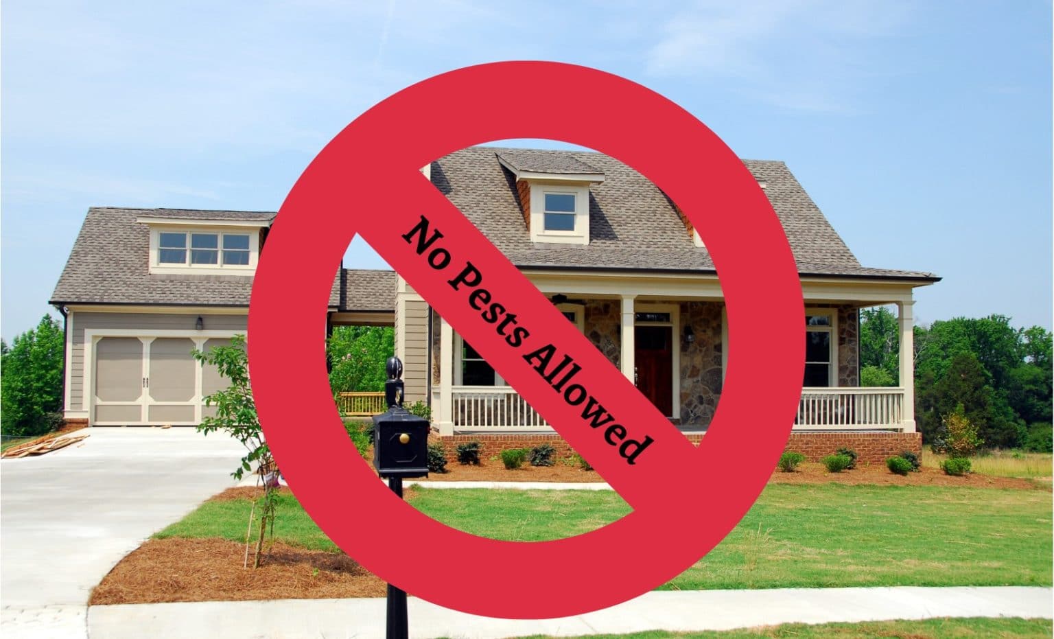 9 Steps to Take to Have a PestFree House in Spring The Pest Rangers