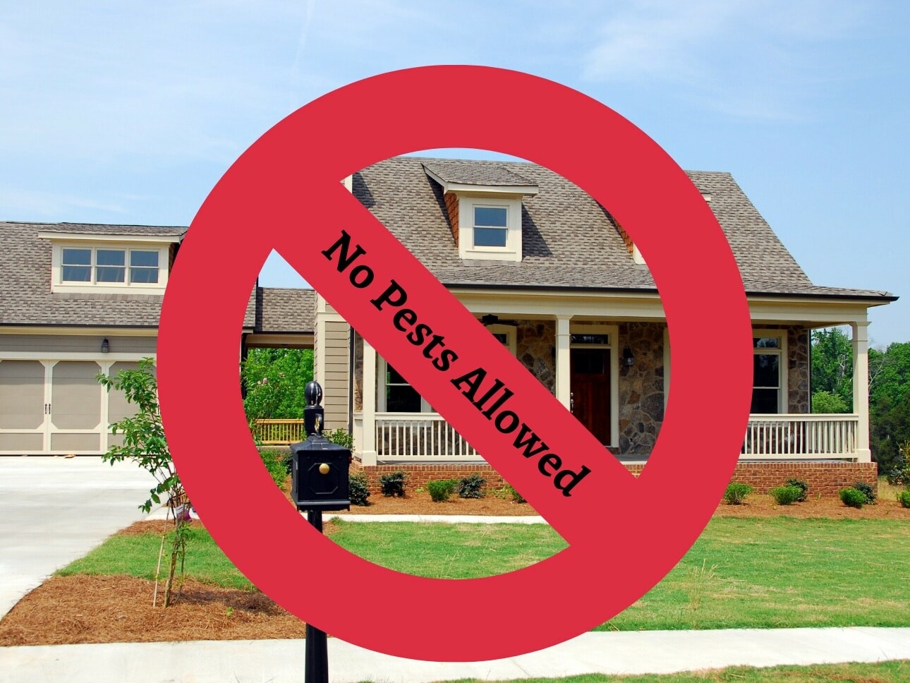 extra time at the start of Spring can save you from unwanted pest headaches