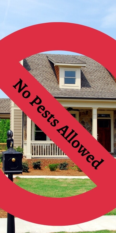 extra time at the start of Spring can save you from unwanted pest headaches