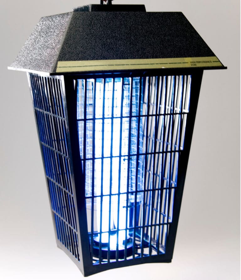 Top 7 Ways to Repel Gnats Take Back Your Yard