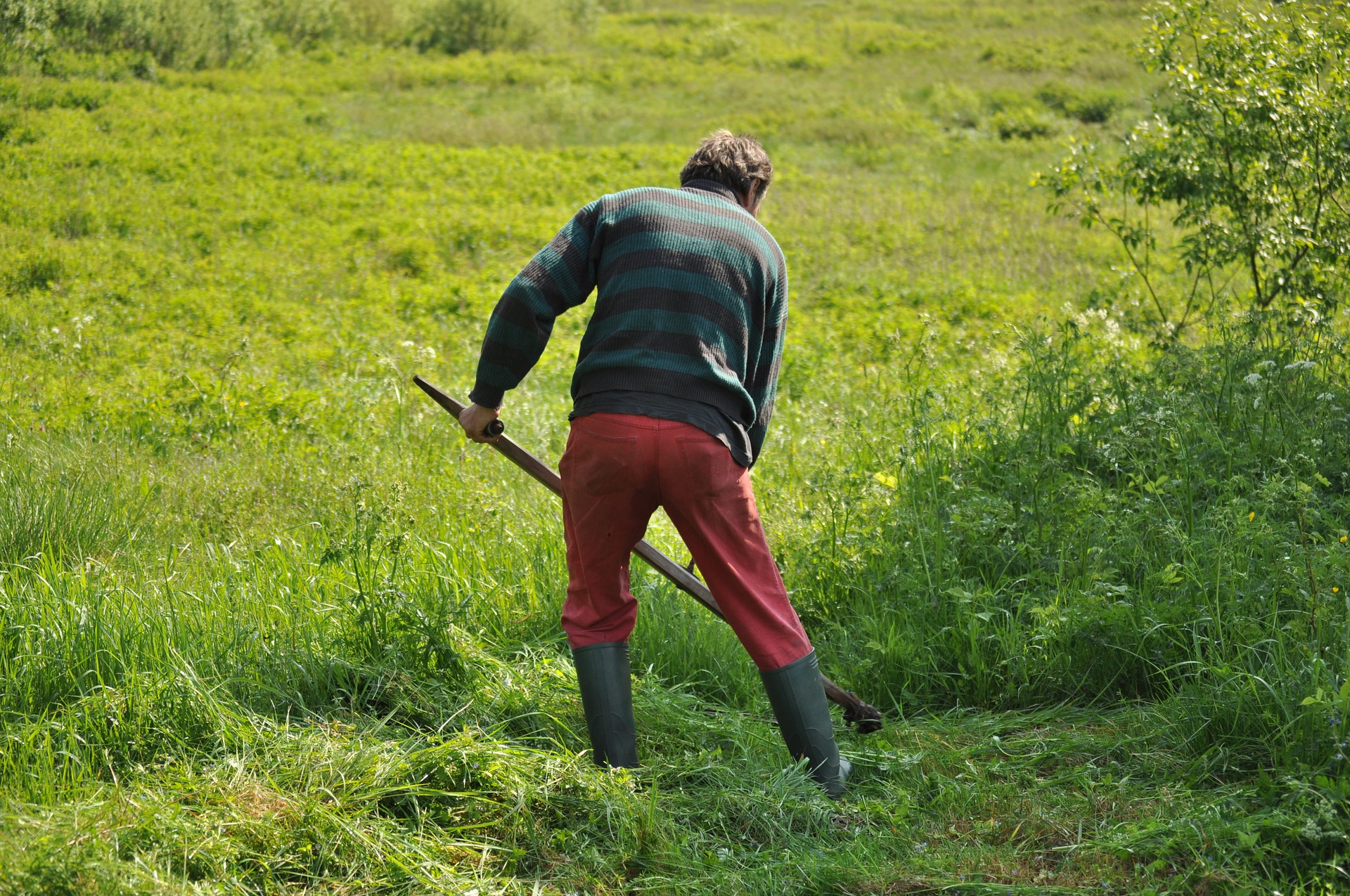 Why are Gnats So Bad This Year? What Changed in 2020? The Pest Rangers