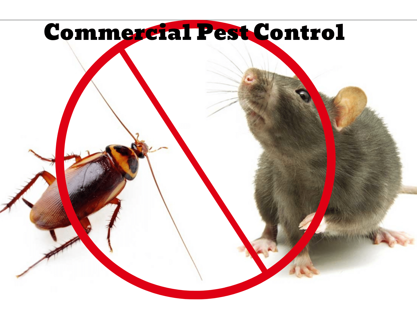 Hiring a commercial pest control service can protect your welfare and the well-being of your customers.