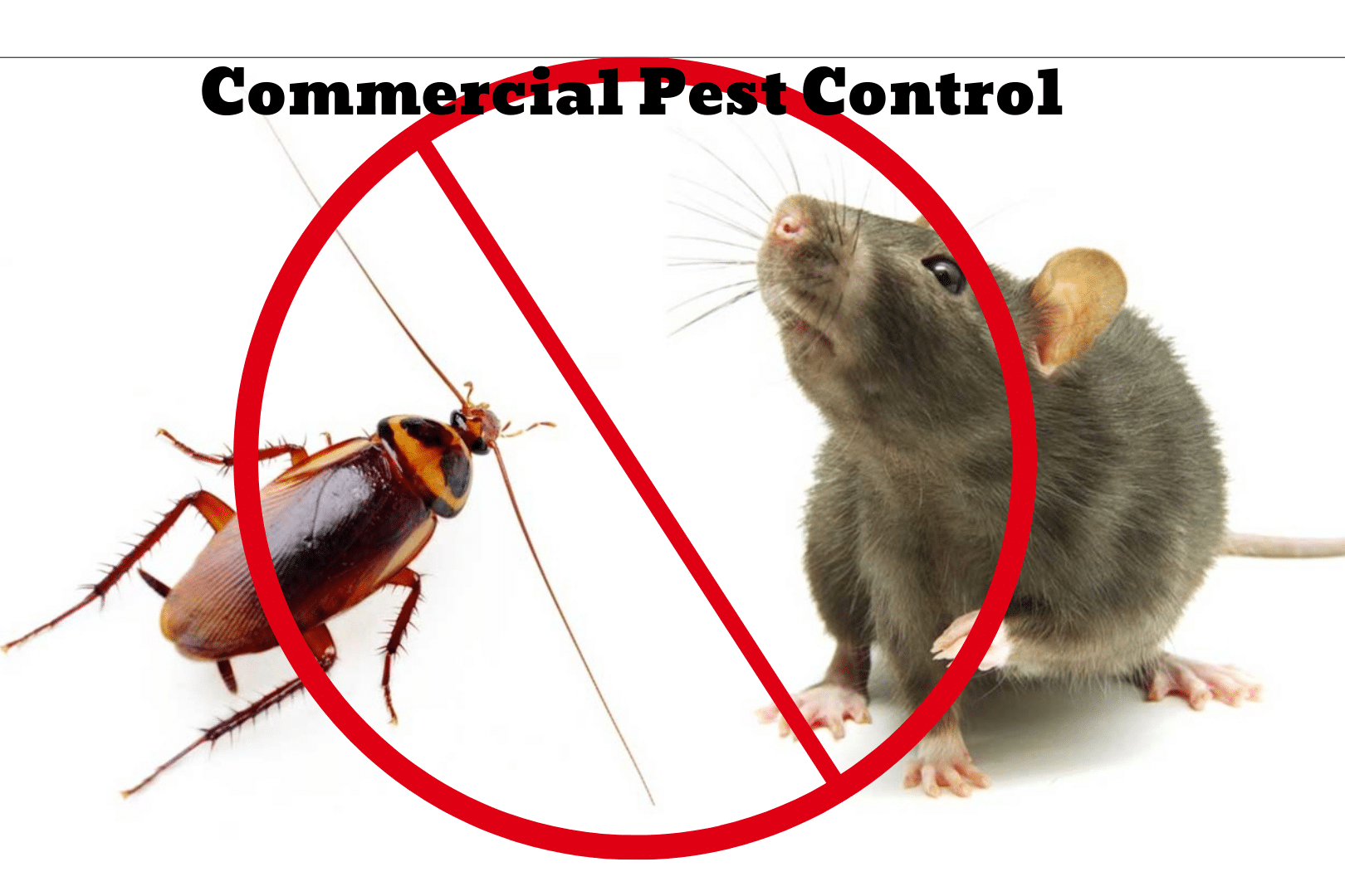 Hiring a commercial pest control service can protect your welfare and the well-being of your customers.