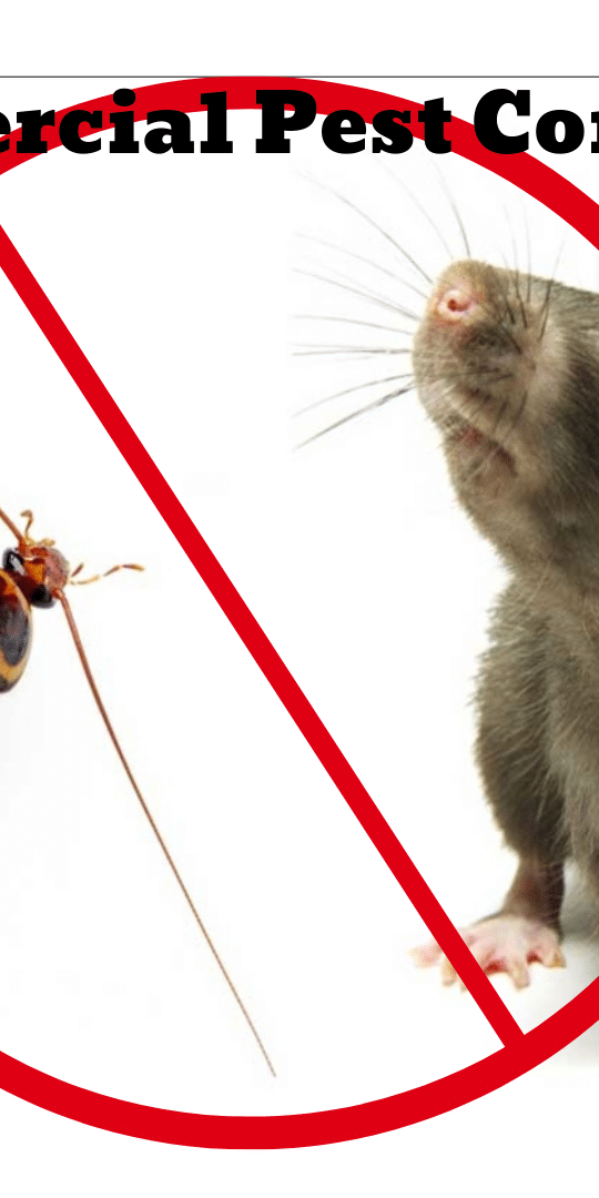 Hiring a commercial pest control service can protect your welfare and the well-being of your customers.