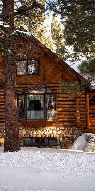 most pests tend to die out in the winter, quite a few will seek out warm and comfortable places