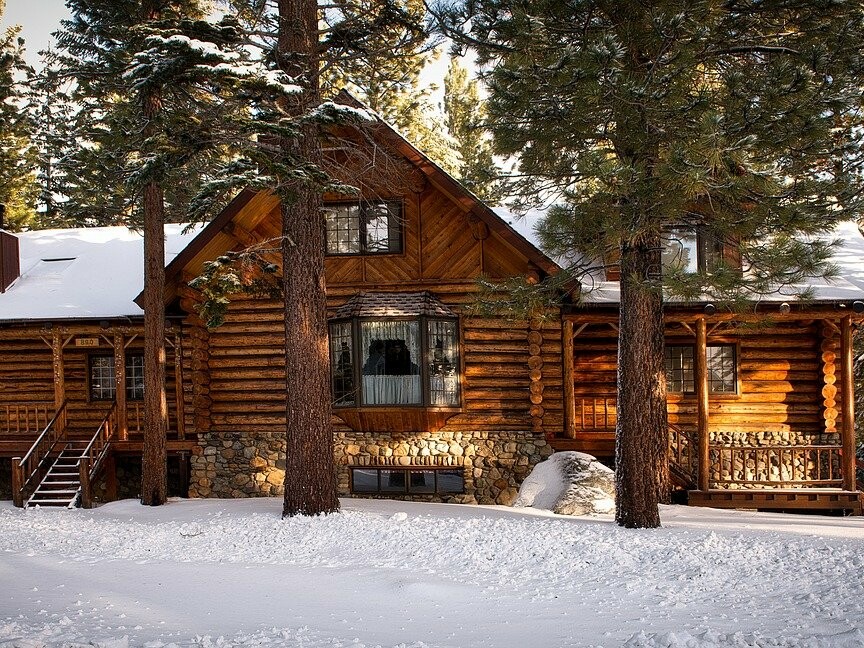 most pests tend to die out in the winter, quite a few will seek out warm and comfortable places