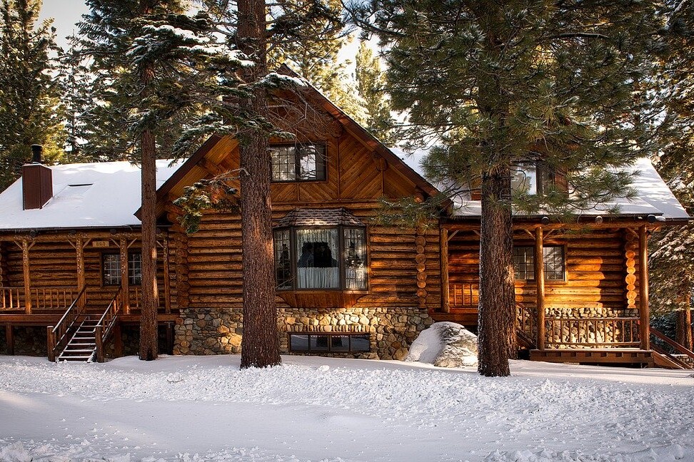 most pests tend to die out in the winter, quite a few will seek out warm and comfortable places