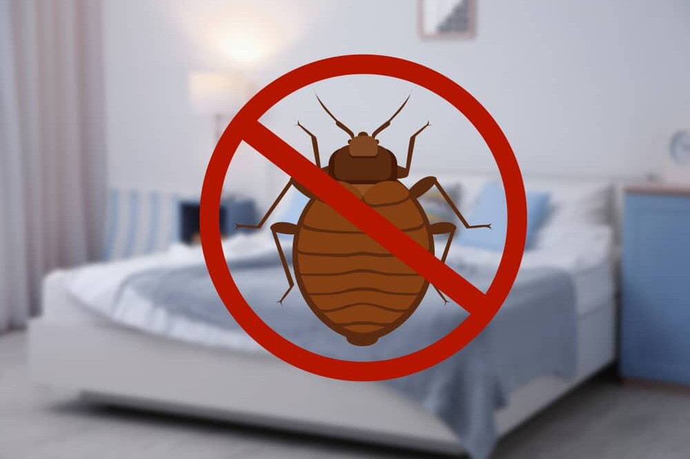 Regardless of the season or property you own, bed bugs are a constant threat