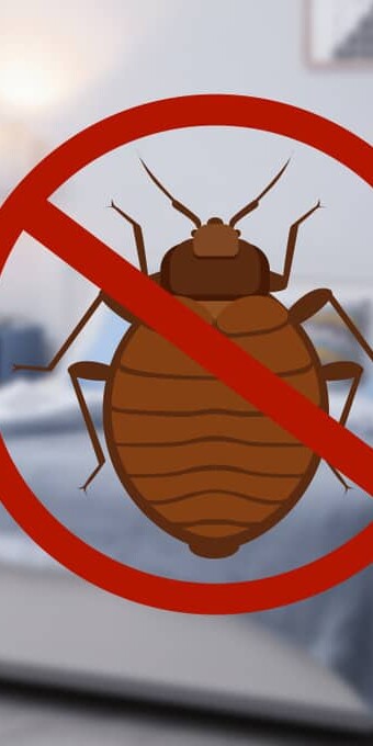 Regardless of the season or property you own, bed bugs are a constant threat