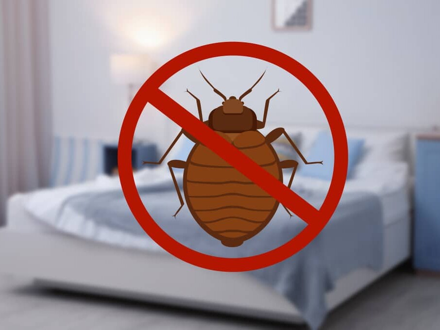 Regardless of the season or property you own, bed bugs are a constant threat