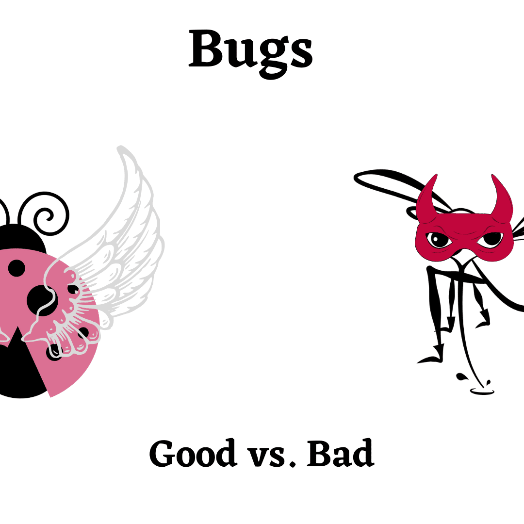 Good bugs, bad bugs; does a split occur in the insect world?