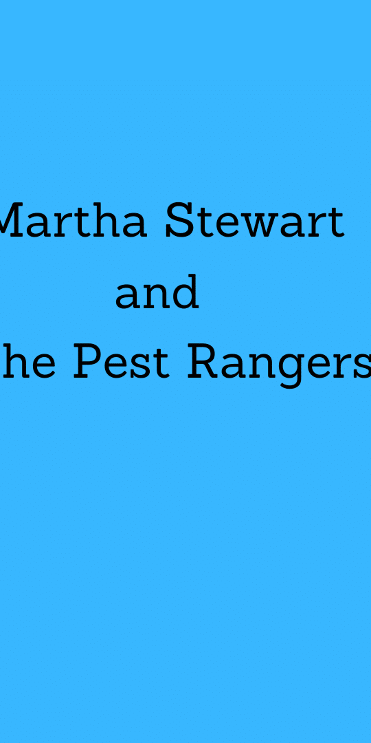 What does the queen of homemaking have in common with getting rid of creepy crawlies