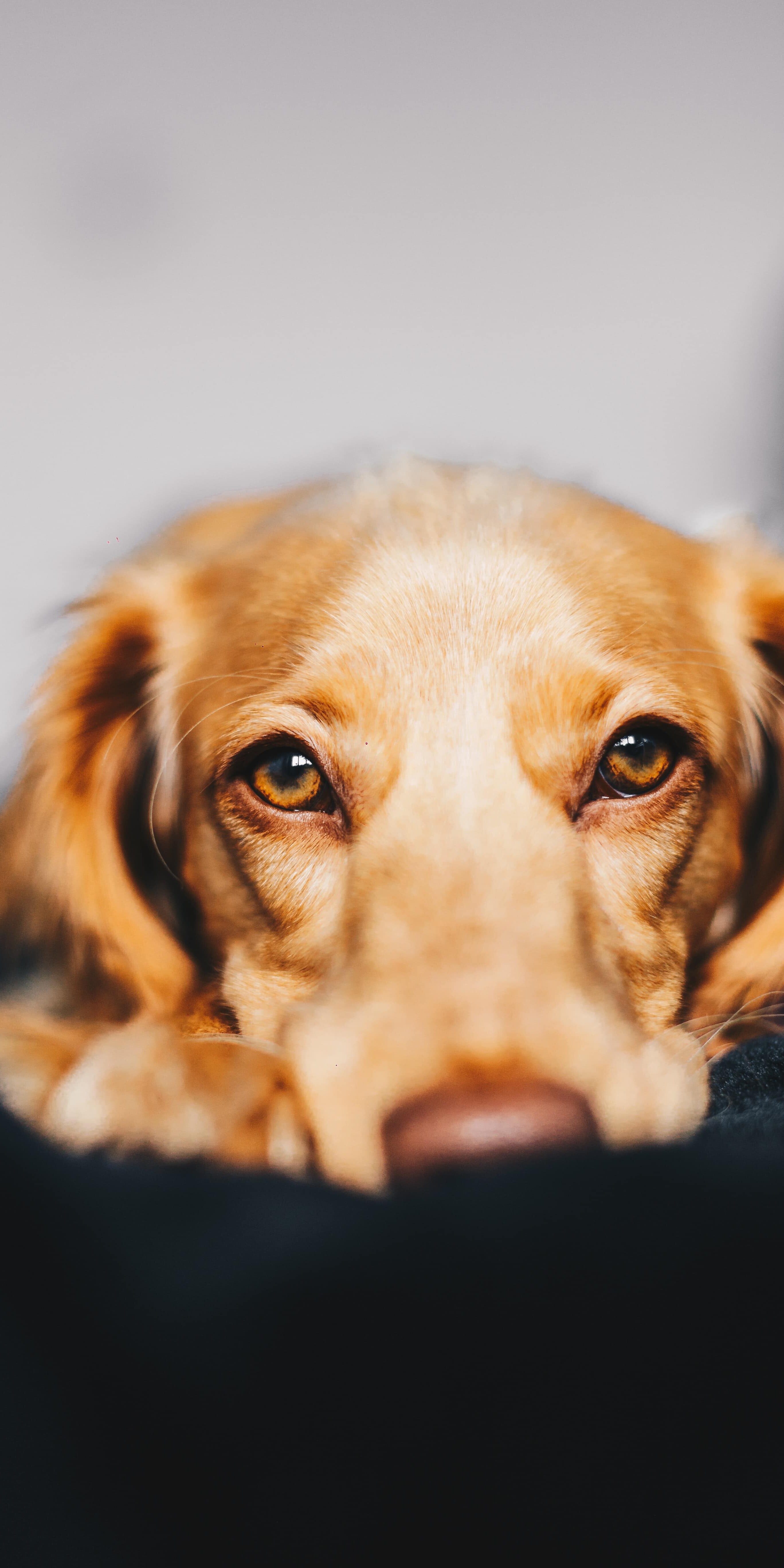 Northeast Pennsylvania is one of the worst areas for these blood-sucking parasites.