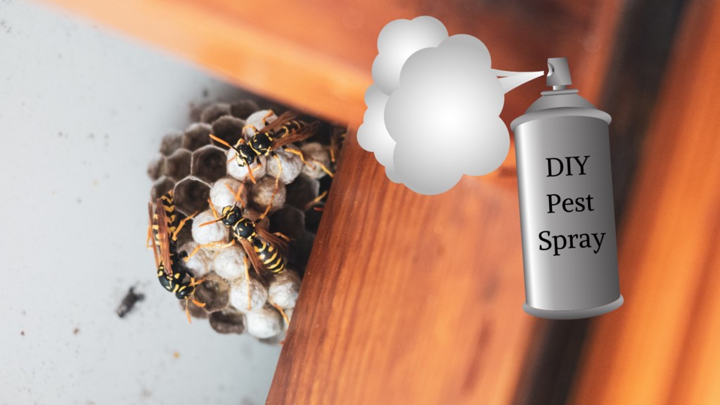 Pest Control Do It Yourself vs. Hiring a Professional