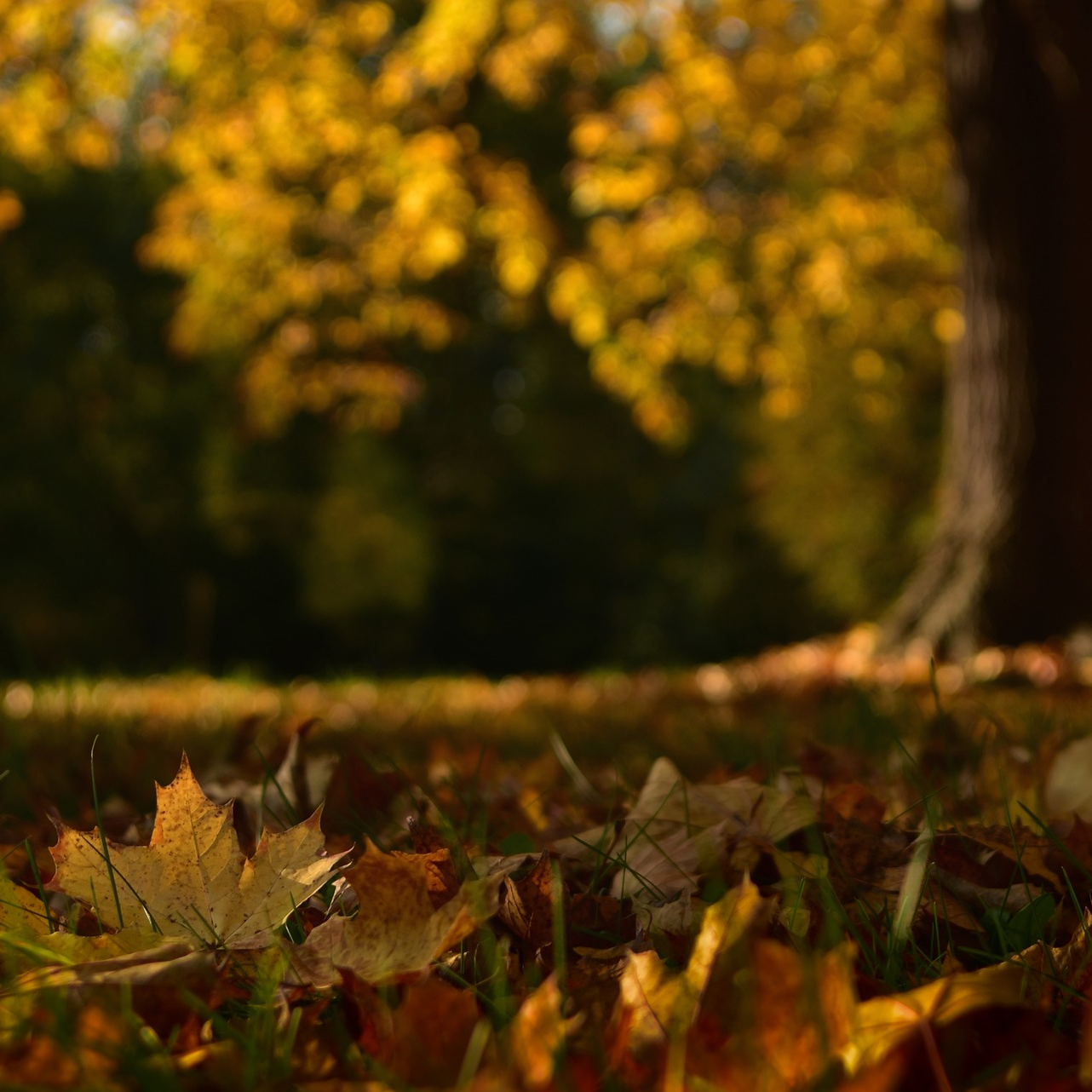 seasonal shift comes from the reduction of common outdoor pests