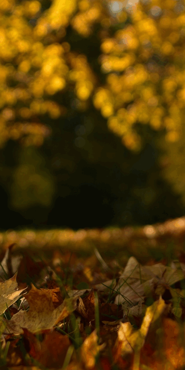 seasonal shift comes from the reduction of common outdoor pests