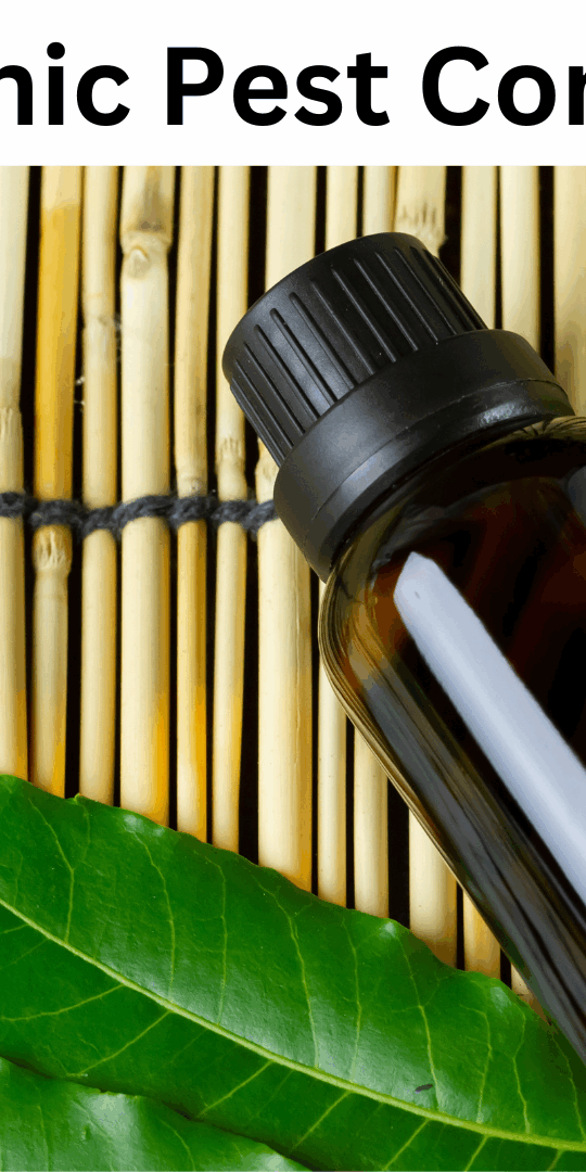 getting rid of pests without resorting to harsh chemicals or toxic substances.