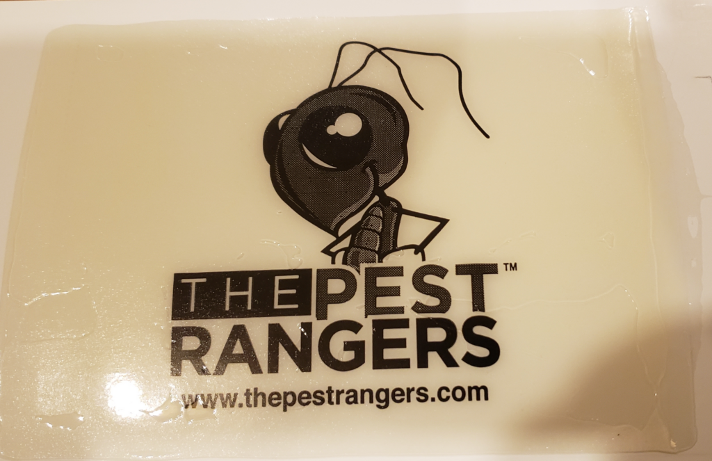 How to Use Mouse Bait Stations for Effective Rodent Control