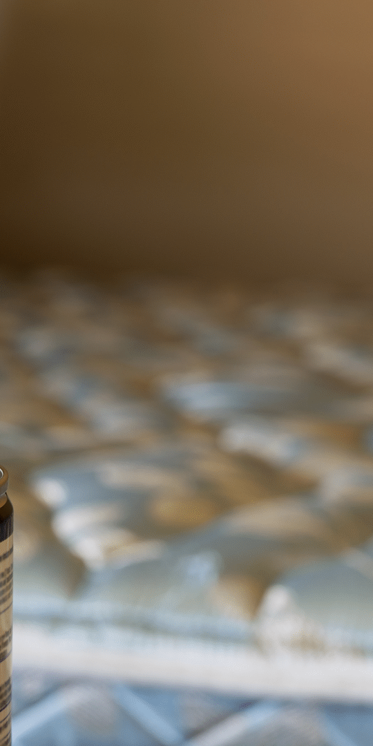 Flea bombs and foggers typically come in aerosol cans