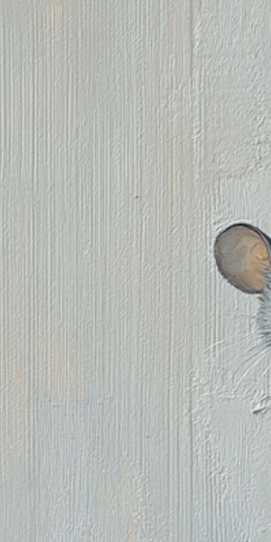 Help! Are There Mice in My Walls?