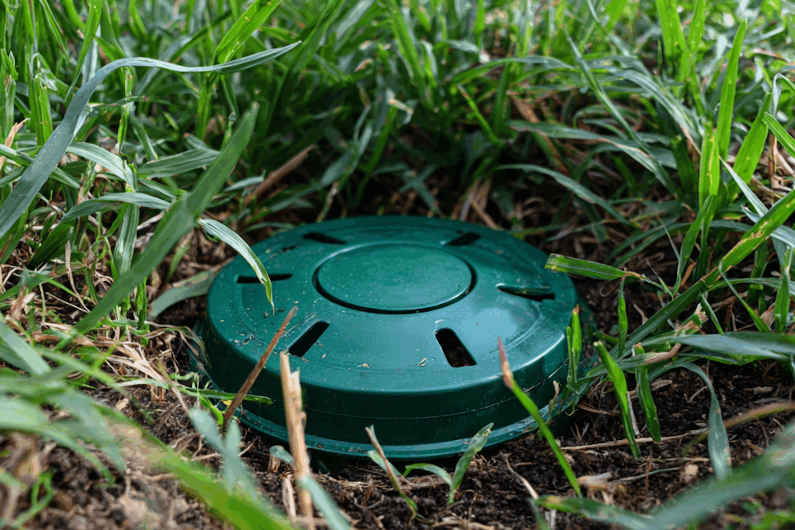 Are Termite Bait Stations Worth the Price?