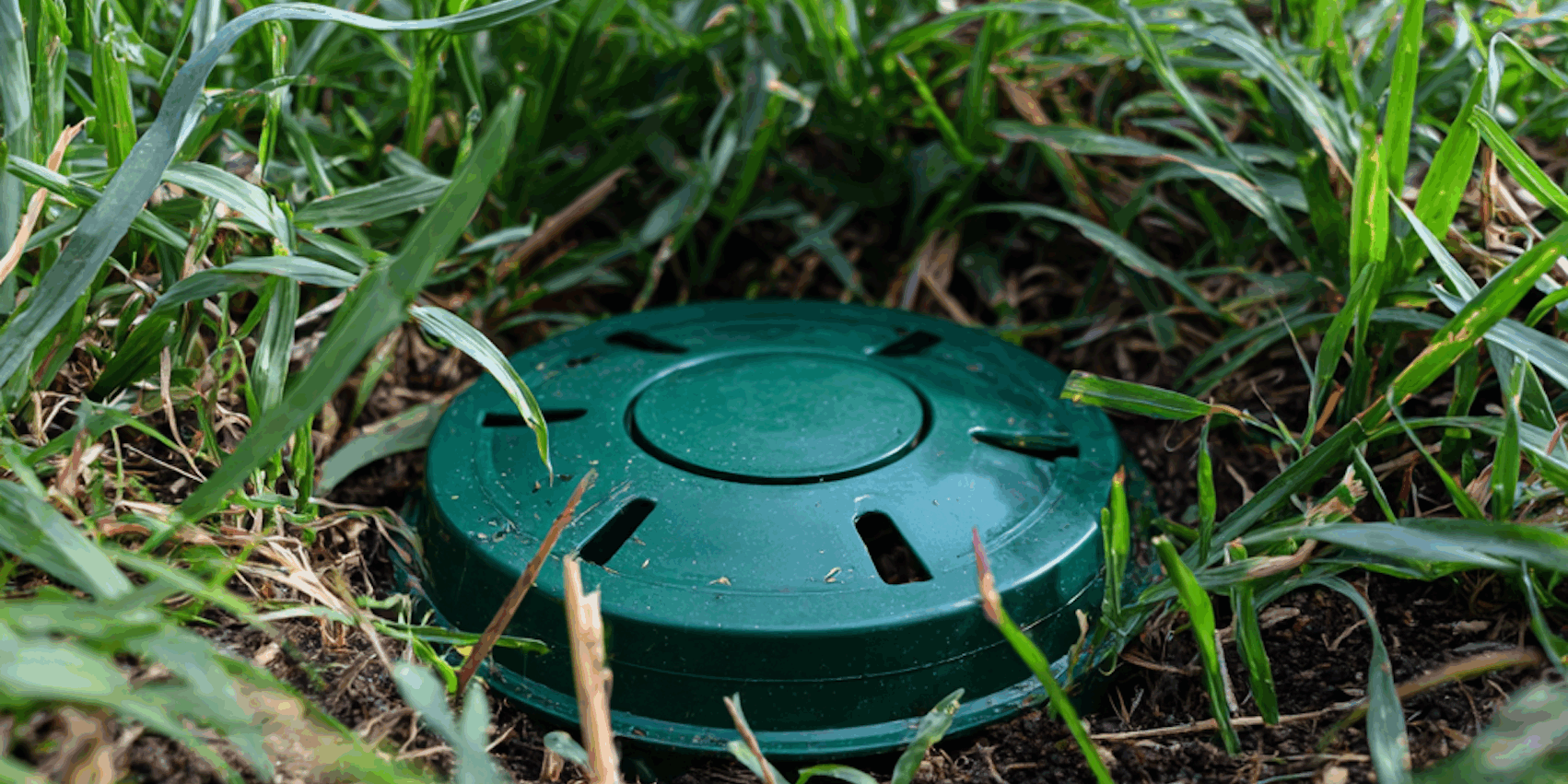 Are Termite Bait Stations Worth the Price?