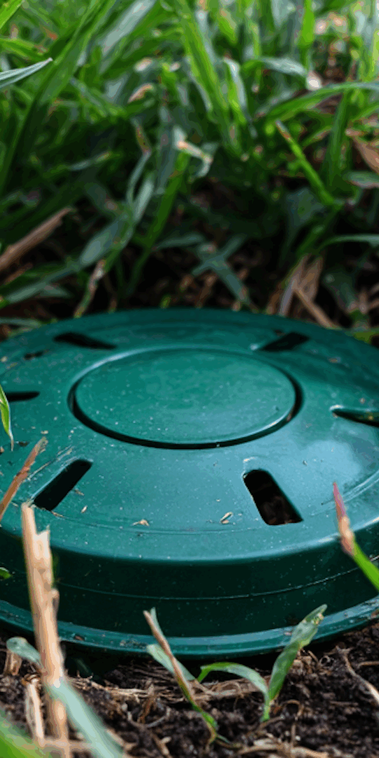 Are Termite Bait Stations Worth the Price?