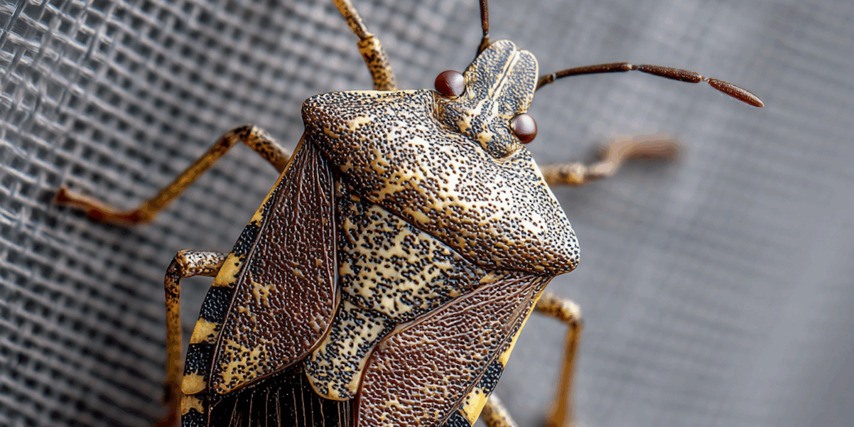 Why Invasive Species Are a Concern in PA